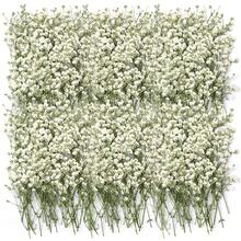 100/200 Pcs Mini Dried Babys Breath Pressed White Flowers Bulk | Natural, Real, Flat Gypsophila Baby's Breath, For Wedding Invitations Making Bookmark Candle Art Craft DIY Home Party Decor - Ivory - View 1