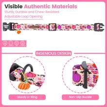 Lionheart Glory Halloween Dog Collar, Pumpkin & Bat Print, Adjustable Autumn Dog Collar, Dog Party Pet Gift - Multicolor - View 4