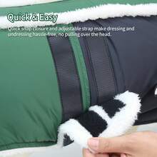 Halloween Dog Winter Coat With Interchangeable Bone Patch, Warm Thickened Jacket With Adjustable Hook And Loop, Suitable For Small, Medium And Large Dogs - Green - View 4