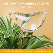 Glass Plant Watering Globes, Self Watering Globes Bird Shape, Self Watering Planter Insert, Plant Watering Devices, Automatic Plant Waterer Indoor, Watering Bulbs, 3 Packs - A - View 10