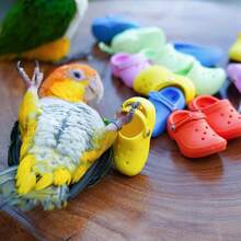 5pcs/1PC Mini Sandals 3 Inch Soft Bird Foot Toys Chew Toys | Soft Colorful Foot Toys With 5 Connection Holes For DIY Bird Toy Customization And Enriching Bird Life - View 5