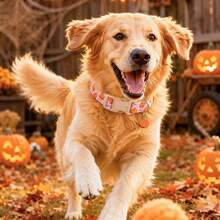 Lionheart Glory Autumn Dog Collar Pumpkin Bow Print Pink Adjustable Collar Dog Party Pet Gift - Baby Pink - View 7