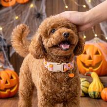Lionheart Glory Autumn Dog Collar Pumpkin Bow Print Pink Adjustable Collar Dog Party Pet Gift - Baby Pink - View 6