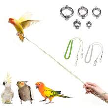 6pcs Set Retractable Parrot Training Leash, With 5 Different Sizes Of Foot Rings, Bird Cage Harness, Parrot Supplies And Tools, Parrot Flight Leash, Anti-Bite Parrot Chest Harness, Bird Flight Training Leash. - A+B - View 1