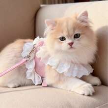 1pc-Cat Dog Harness, Leash, Adjustable Anti-Escape Chest Harness Vest For Cats, Dogs, Rope Leash For Kittens, Puppies, Walking Cats And Dogs - Multicolor - View 3