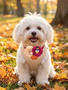 6/16/30/60/100Pcs Autumn Thanksgiving Maple Pumpkin Pet Bow Ties & Neckties, Fabric Flower Elastic Decor For Small & Medium Dogs & Cats, Pet Photoshoot Props For Daily Outfits & Party, Cute Gifts To Make Pets Happy For Pet Birthday & Christmas - Multicolor - View 7