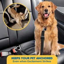 1pc Dog & Cat Seat Belt Tether, Adjustable Pet Leash, Durable Car Seat Belt Tether For Dogs, Cats And Other Pets - A - View 2