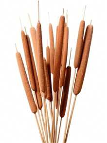 5/10 Pcs Artificial Cattails Flowers, Artificial Plants For Home Table Centerpieces, Decorative Floral Arrangements For Rustic Weddings And Office Vases - Brown - View 4