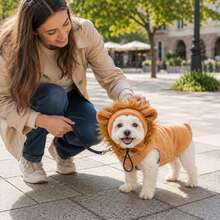 New Pet Headwear Dog Hat Cute Fashion Lion Design Adjustable Hooded Sweatshirt Soft Skin-Friendly - Khaki - View 4