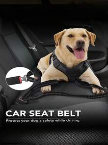 1pc 140-170cm Shock Resistant Dog Traction Rope,Heavy Duty Wear-Resistant Nylon Strap,Long Strap With Reflective Stripe & Metal D-Ring,Elastic Anti-Jump Buffer,Multifunction Pet Leash & Car Safety Belt For Daily Hiking Trip - Multicolor - View 7