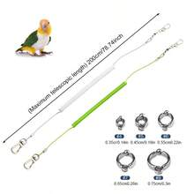 6pcs Set Retractable Parrot Training Leash, With 5 Different Sizes Of Foot Rings, Bird Cage Harness, Parrot Supplies And Tools, Parrot Flight Leash, Anti-Bite Parrot Chest Harness, Bird Flight Training Leash. - A+B - View 2