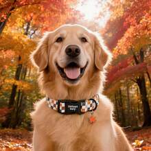 Lionheart Glory Autumn Brown Plaid Print Dog Collar, Soft Adjustable Collar For Small, Medium, Large Dogs, Male - Brown - View 6