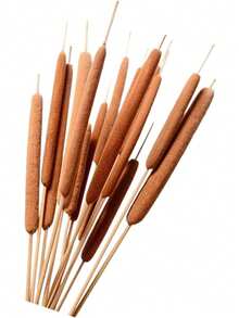 5/10 Pcs Artificial Cattails Flowers, Artificial Plants For Home Table Centerpieces, Decorative Floral Arrangements For Rustic Weddings And Office Vases - Brown - View 7