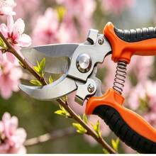 Pruning Tools - A - View 4