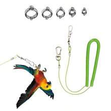 6pcs Set Retractable Parrot Training Leash, With 5 Different Sizes Of Foot Rings, Bird Cage Harness, Parrot Supplies And Tools, Parrot Flight Leash, Anti-Bite Parrot Chest Harness, Bird Flight Training Leash. - A+B - View 12
