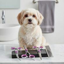 ENSSU [ Bestseller]6-In-1 Professional Canine Grooming Scissor Set With Curved Scissors And Comb | Stainless Steel, Universal Hand Orientation, 6.5 Inch Blade Length, Pet Hair Trimming Kit For Dogs And Cats - Multicolor - View 2