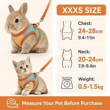 XXXS Extra Small Pet Harness, Suitable For Rabbits, Kittens, Chihuahua Puppies And Other Small Animals, Random Color - Multicolor - View 3