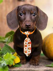 6/16/30/60/100Pcs Autumn Thanksgiving Maple Pumpkin Pet Bow Ties & Neckties, Fabric Flower Elastic Decor For Small & Medium Dogs & Cats, Pet Photoshoot Props For Daily Outfits & Party, Cute Gifts To Make Pets Happy For Pet Birthday & Christmas - Multicolor - View 8