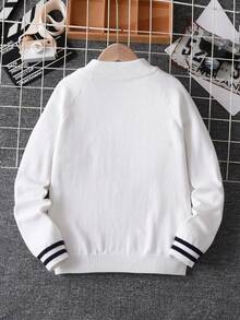 Boys' Simple College Style Colorblock Striped Stand Collar Zip-Up Cardigan Long Sleeve Knit Sweater Casual Versatile Jacket Suitable For Daily Wear, Campus, Spring, Autumn, Winter - White - View 2