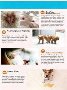 Disposable Pet Pads Compatible With Dog Period Pants, Ultra-Soft Non-Woven Fabric Surface, Gentle Care For Pet Skin, High-Absorbency Polymer Core, Fast Absorption Of Blood And Secretions, Long-Lasting Dryness, Prevents Staining Of Sofa And Bedding - one-size - View 5