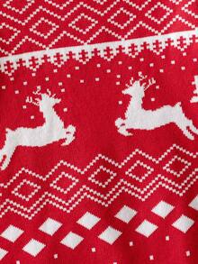 Boys' Casual Colorblock Christmas Reindeer Stand Collar Knit Cardigan Sweater, Long Sleeve, Suitable For Christmas, Daily Wear, Spring, Autumn, Winter - Red - View 3