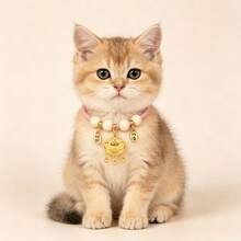1pc Halloween Cat Collar, Pet Collar, External Flea And Tick Collar, Anti-Choking Cat Collar, Cat Accessories, Cat Supplies, Cat Necklace, Fashion Pet Accessories, Pet Supplies, Suitable For Small And Medium Pets, Gift For Cats And Dogs, Christmas Gift. - Multicolor - View 3
