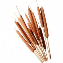 5/10 Pcs Artificial Cattails Flowers, Artificial Plants For Home Table Centerpieces, Decorative Floral Arrangements For Rustic Weddings And Office Vases - Brown - View 1
