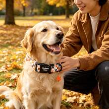 Lionheart Glory Autumn Brown Plaid Print Dog Collar, Soft Adjustable Collar For Small, Medium, Large Dogs, Male - Brown - View 7