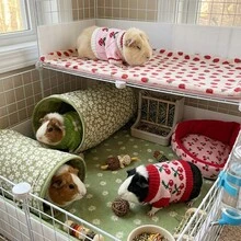 1pc Cute Floral Pattern Knitted Small Pet Sweater, Warm Soft Mini Knitted Outfit, Elastic Pet Winter Clothing, Suitable For Guinea Pig Small Animal Photo Props, Autumn/Winter Small Pet Clothing Accessories, Suitable For 30cm Doll - Multicolor - View 11