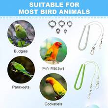6pcs Set Retractable Parrot Training Leash, With 5 Different Sizes Of Foot Rings, Bird Cage Harness, Parrot Supplies And Tools, Parrot Flight Leash, Anti-Bite Parrot Chest Harness, Bird Flight Training Leash. - A+B - View 7