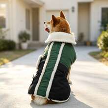 Halloween Dog Winter Coat With Interchangeable Bone Patch, Warm Thickened Jacket With Adjustable Hook And Loop, Suitable For Small, Medium And Large Dogs - Green - View 3