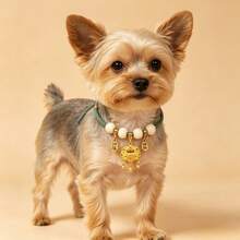 1pc Halloween Cat Collar, Pet Collar, External Flea And Tick Collar, Anti-Choking Cat Collar, Cat Accessories, Cat Supplies, Cat Necklace, Fashion Pet Accessories, Pet Supplies, Suitable For Small And Medium Pets, Gift For Cats And Dogs, Christmas Gift. - Multicolor - View 5