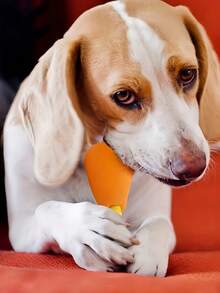 Mainan Kaki Ayam Berbunyi untuk Anjing dengan Nama yang Disesuaikan, Mainan Kunyah Hewan Peliharaan yang Diukir Secara Personal, Mainan Interaktif Karet Tahan Lama, Hadiah Permainan untuk Anjing Kecil dan Sedang - MultiWarna - View 4