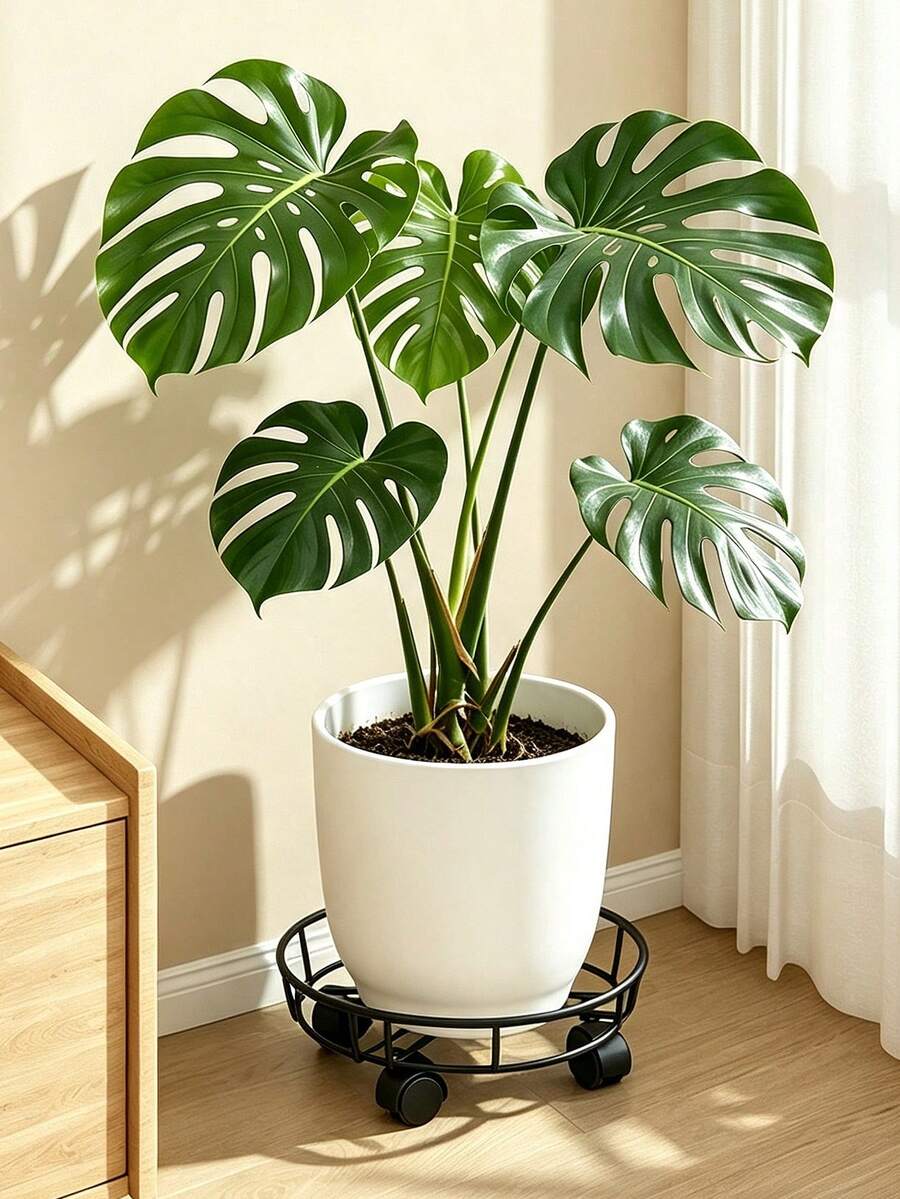 1pc Metal Rolling Plant Stand, 3-Wheel Tray Holder, Effortless Movement, Indoor/Outdoor Garden Planter Rack (Pots And Flowers Not Included) - Black - View 1