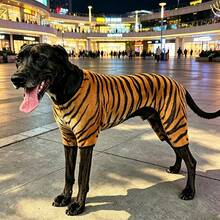 Bold Tiger Stripe Dog Clothes, Four-Legged Outfit, Personalized Pet Apparel, Spring/Autumn/Winter, Clothing - Yellow - View 3