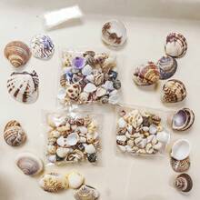 56g 0.39-0.98 Inch Mixed Shells And Conch, Aquarium Decoration Shells, Suitable For Aquarium Decoration Enthusiasts, Gifts, Craft Material Kits, Halloween Gifts - Set - View 2