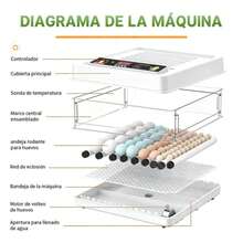 Egg Handling Supplies - White - View 7