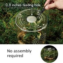 Terrarium Akrilik untuk Reptil & Laba-laba – Kandang Anti Bocor Ukuran Kecil/Sedang/Besar (Horizontal/Vertikal) | Ideal untuk Tarantula, Laba-laba Lompat, Katak & Cicak (Kecil, Bulat) - Clear - View 6
