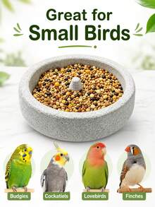 1pc Small Bird Feeding Bowl, 5.9 Inch Round Parrot Seed Feeder With Center Cone Design, Suitable For Lovebirds, Cockatiels, Budgies And Other Pet Birds Stable Feeding Dish - A - View 7