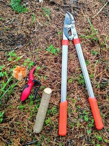 Heavy Duty Anvil Pruning Shears With Sharp Blade, Telescopic Tree Trimmer, Garden Branch Cutter / Tree Pruning Shears / Branch Cutting / 55cm Compound Action Bypass Pruning Shears, Heavy Duty Aluminum Alloy Handle Tree Pruning Scissors - Lopper+Sharpener - View 3