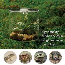 Terrarium Akrilik untuk Reptil & Laba-laba – Kandang Anti Bocor Ukuran Kecil/Sedang/Besar (Horizontal/Vertikal) | Ideal untuk Tarantula, Laba-laba Lompat, Katak & Cicak (Kecil, Bulat) - Clear - View 7
