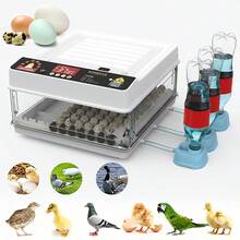 Egg Handling Supplies - US A Type Plug(110-127V) - View 1