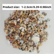 56g 0.39-0.98 Inch Mixed Shells And Conch, Aquarium Decoration Shells, Suitable For Aquarium Decoration Enthusiasts, Gifts, Craft Material Kits, Halloween Gifts - Set - View 1