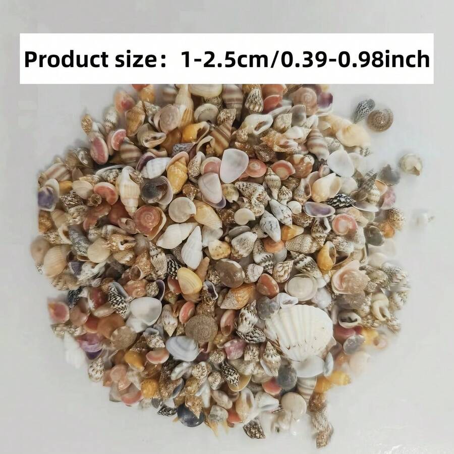 56g 0.39-0.98 Inch Mixed Shells And Conch, Aquarium Decoration Shells, Suitable For Aquarium Decoration Enthusiasts, Gifts, Craft Material Kits, Halloween Gifts - Set - View 1