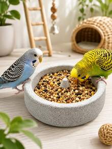 1pc Small Bird Feeding Bowl, 5.9 Inch Round Parrot Seed Feeder With Center Cone Design, Suitable For Lovebirds, Cockatiels, Budgies And Other Pet Birds Stable Feeding Dish - A - View 1