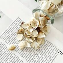 50g/100g/150g Light-Colored Triangle Shells | Elegant Spiral Shells - Suitable For Fish Tank, Aquarium Bottom Sand Filling, Bohemian Coastal Decor, Christmas Tree, Birthday Party Decoration, Wedding And Daily Use, Craft Materials, Halloween Gift - Set - View 3