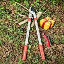 Heavy Duty Anvil Pruning Shears With Sharp Blade, Telescopic Tree Trimmer, Garden Branch Cutter / Tree Pruning Shears / Branch Cutting / 55cm Compound Action Bypass Pruning Shears, Heavy Duty Aluminum Alloy Handle Tree Pruning Scissors - Lopper+Sharpener - View 6