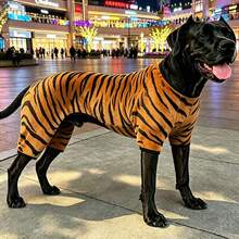 Bold Tiger Stripe Dog Clothes, Four-Legged Outfit, Personalized Pet Apparel, Spring/Autumn/Winter, Clothing - Yellow - View 5