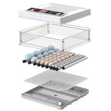 Egg Handling Supplies - US A Type Plug(110-127V) - View 5