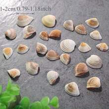 50g/100g/150g Light-Colored Triangle Shells | Elegant Spiral Shells - Suitable For Fish Tank, Aquarium Bottom Sand Filling, Bohemian Coastal Decor, Christmas Tree, Birthday Party Decoration, Wedding And Daily Use, Craft Materials, Halloween Gift - Set - View 4